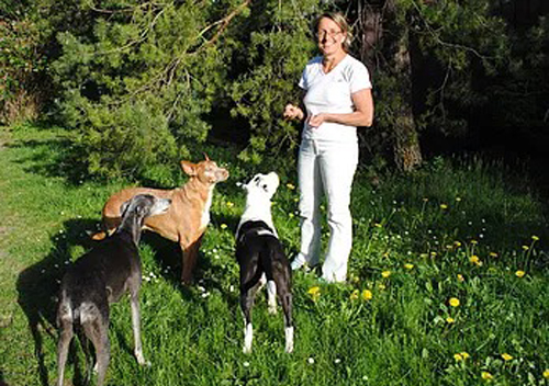 Dr. Susanne Lautner - Hundeschule